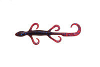 ZOOM 6” Lizard