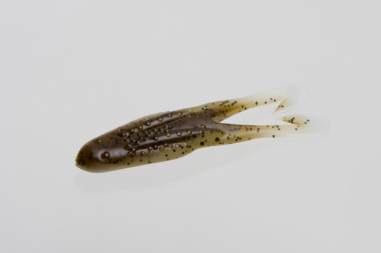 ZOOM Horny Toad