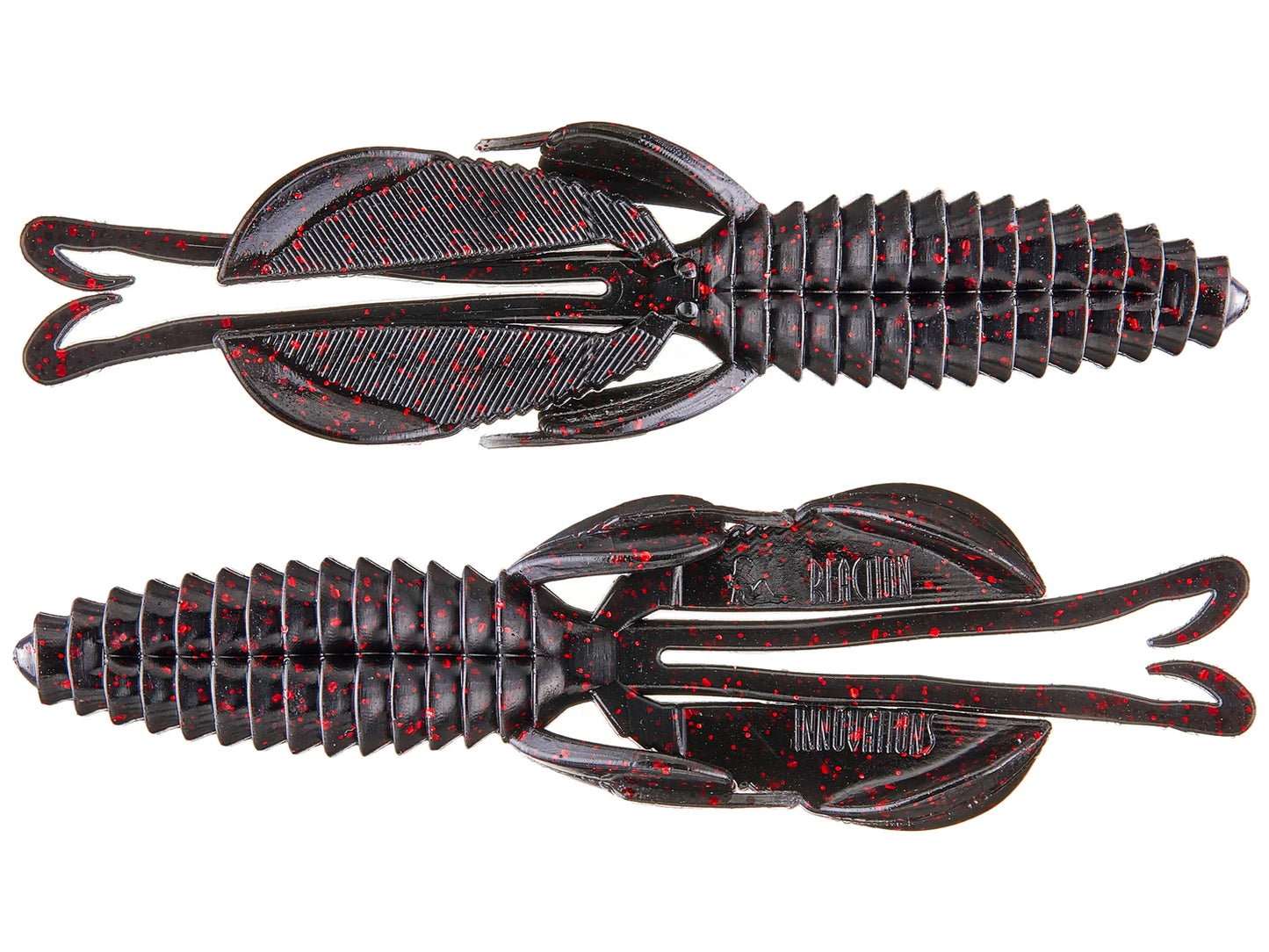 RI Kinky Beaver