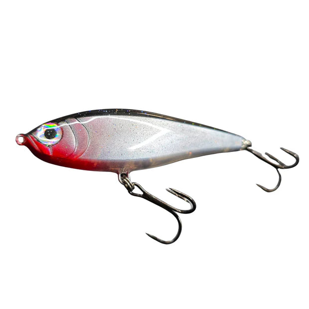 Darter Senior