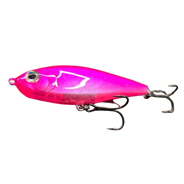 Darter Senior