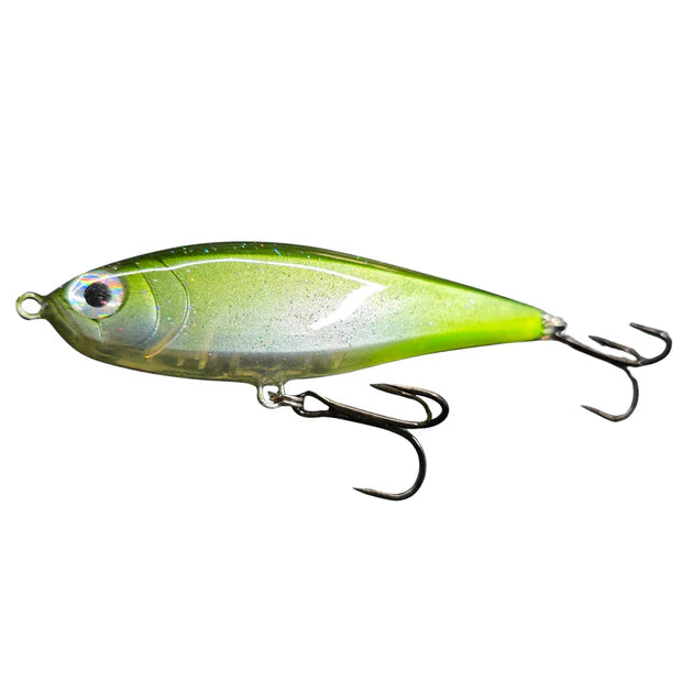 Darter Senior