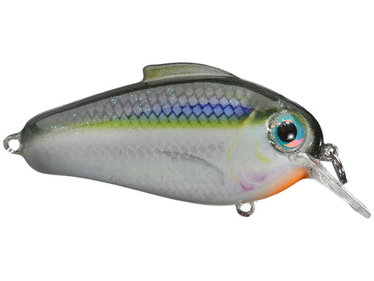Bill Lewis Echo 1.75