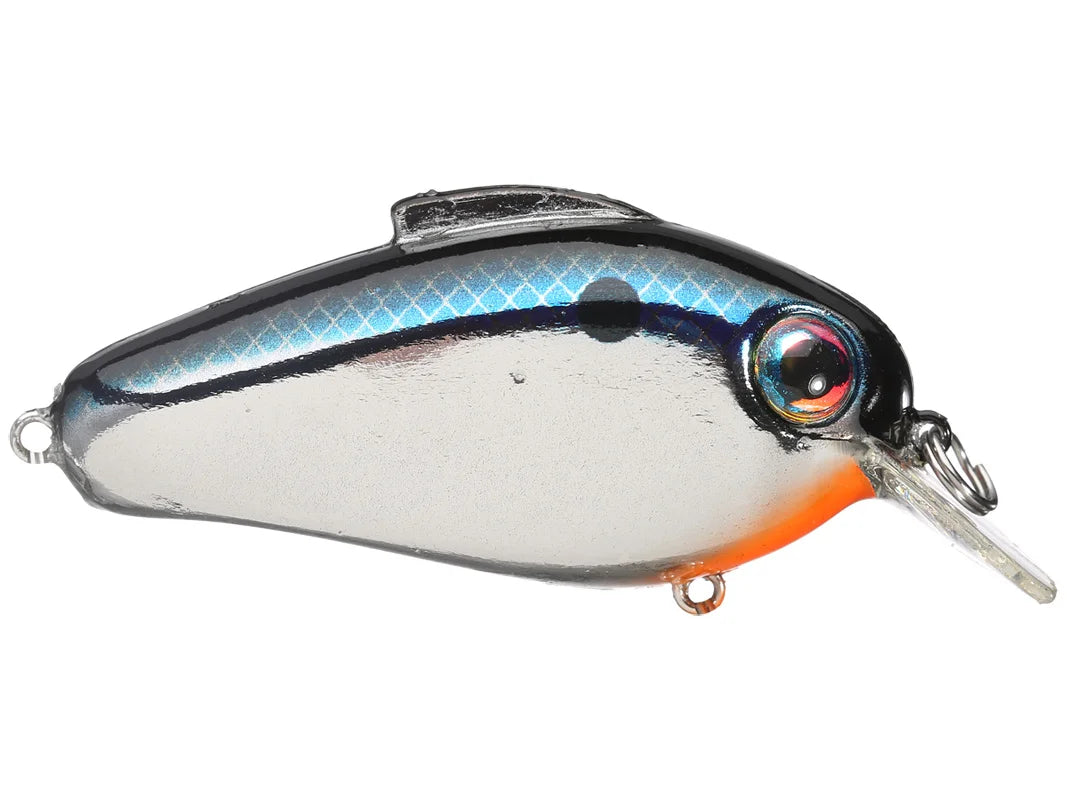 Bill Lewis Echo 1.75