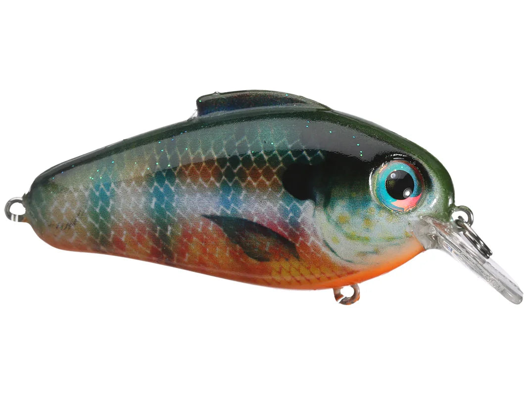 Bill Lewis Echo 1.75