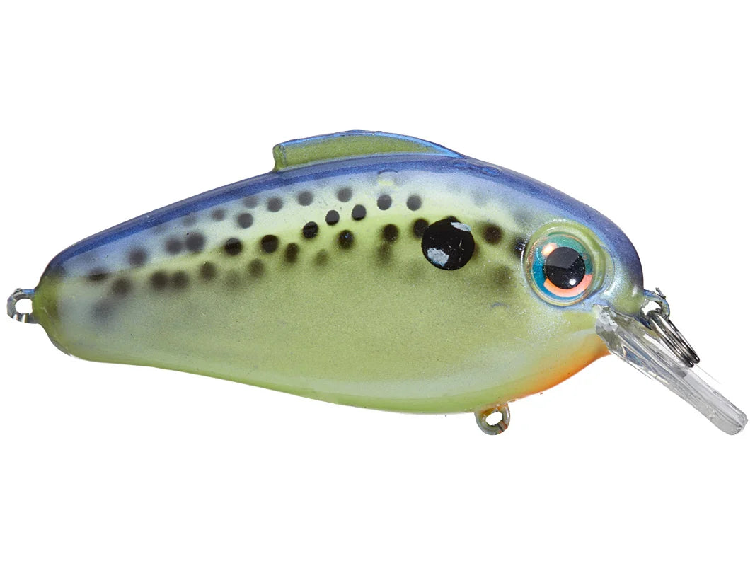 Bill Lewis Echo 1.75