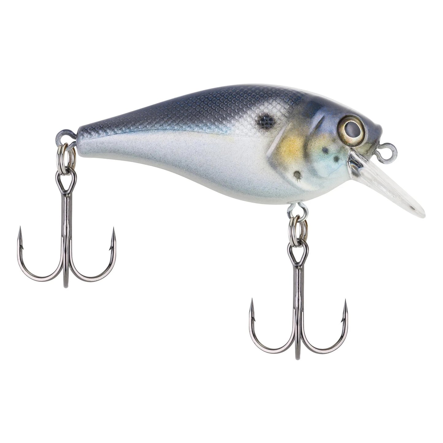Berkley Squarebull 5.5