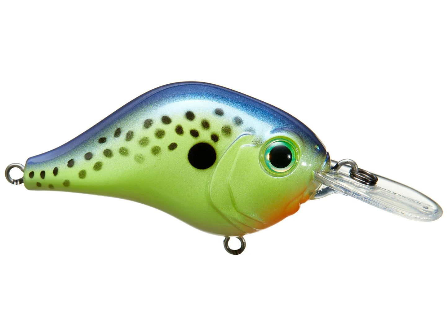 Bill Lewis MR-6 Crankbait