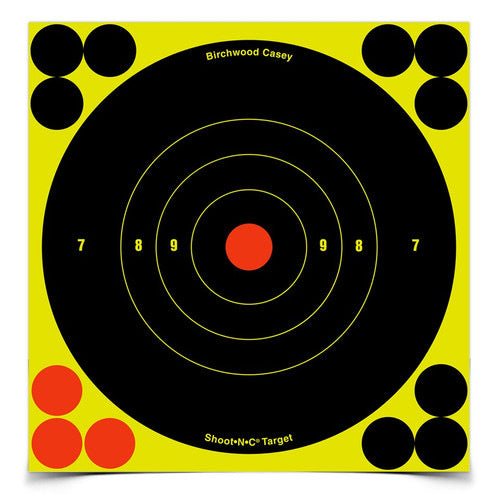 Birchwood Casey Shoot N C Target