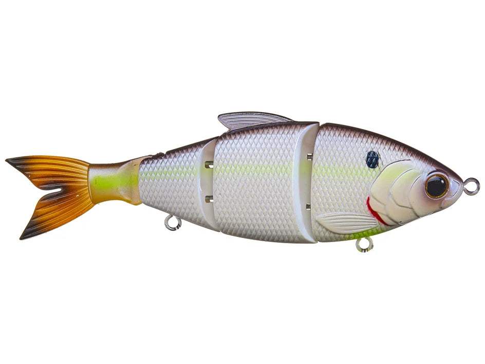 6TH SENSE Trace 6in. Fast Sinking Swimbait