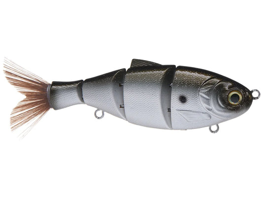 DUCKETT BD Shad 5”
